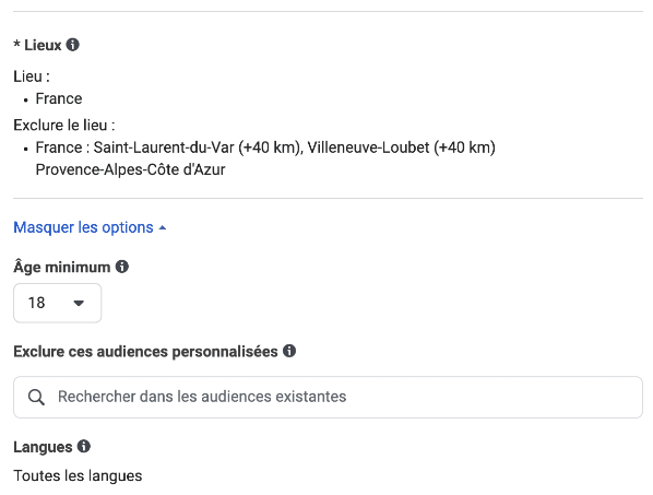 audience facebook ads
